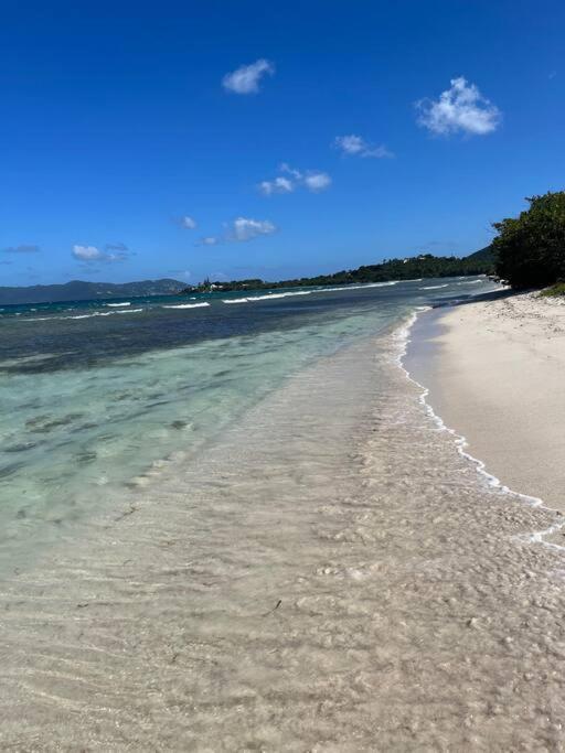 Апартаменты Mid-Century: Caribbean Style Contant  Экстерьер фото