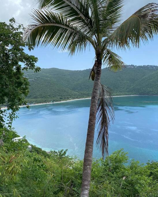 Апартаменты Mid-Century: Caribbean Style Contant  Экстерьер фото